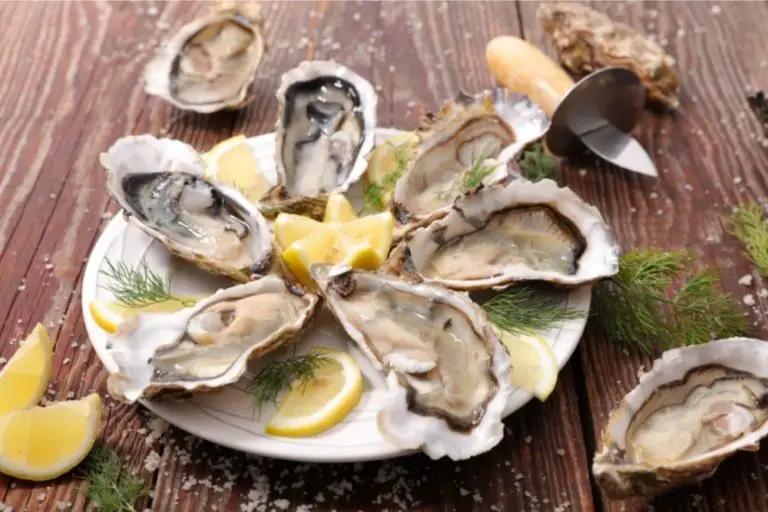 Are Oysters Still Alive When You Eat Them? - Boss Oyster