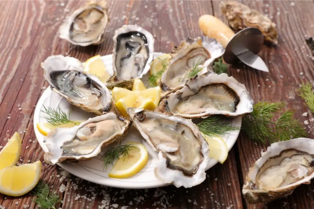Are Oysters Still Alive When You Eat Them?