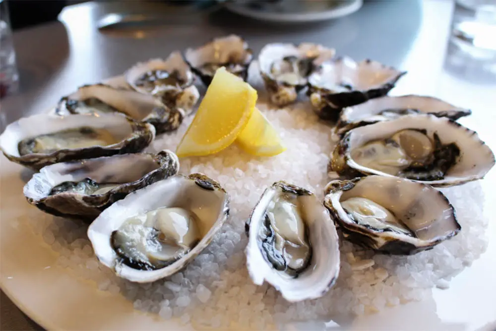 Best Oysters In Denver