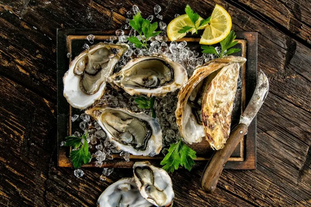Best Oysters in Manhattan