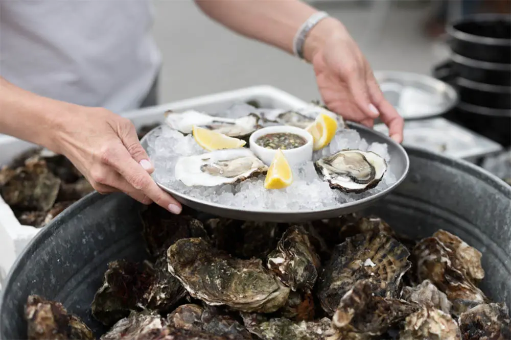 Best Oysters In Savannah