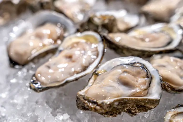 How Many Calories In Oysters Boss Oyster