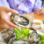 How Many Calories In Oysters