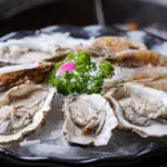 How To Freeze Oysters