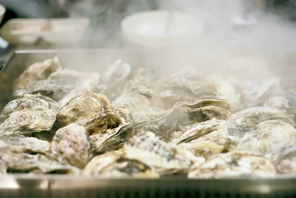 How To Steam Oysters