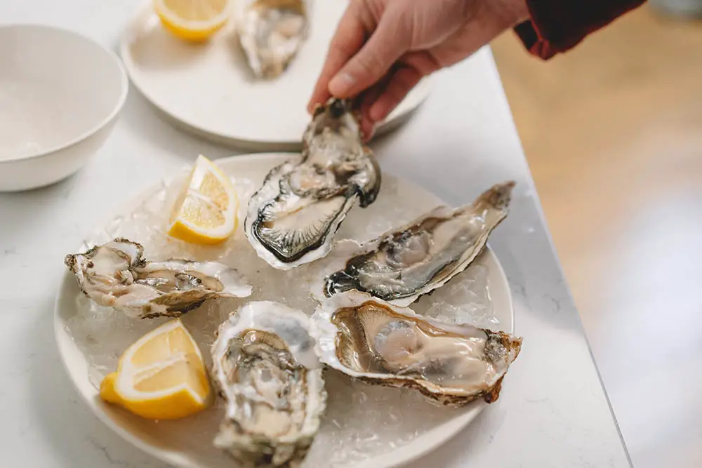 How To Eat Oysters - Boss Oyster