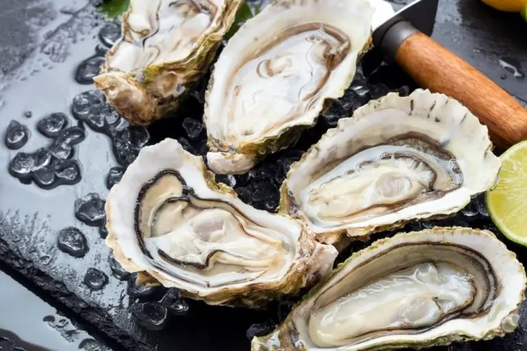 Best Oysters in Baton Rouge Boss Oyster