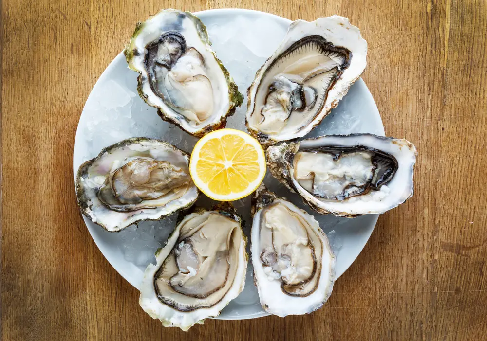 Best Oysters In Destin