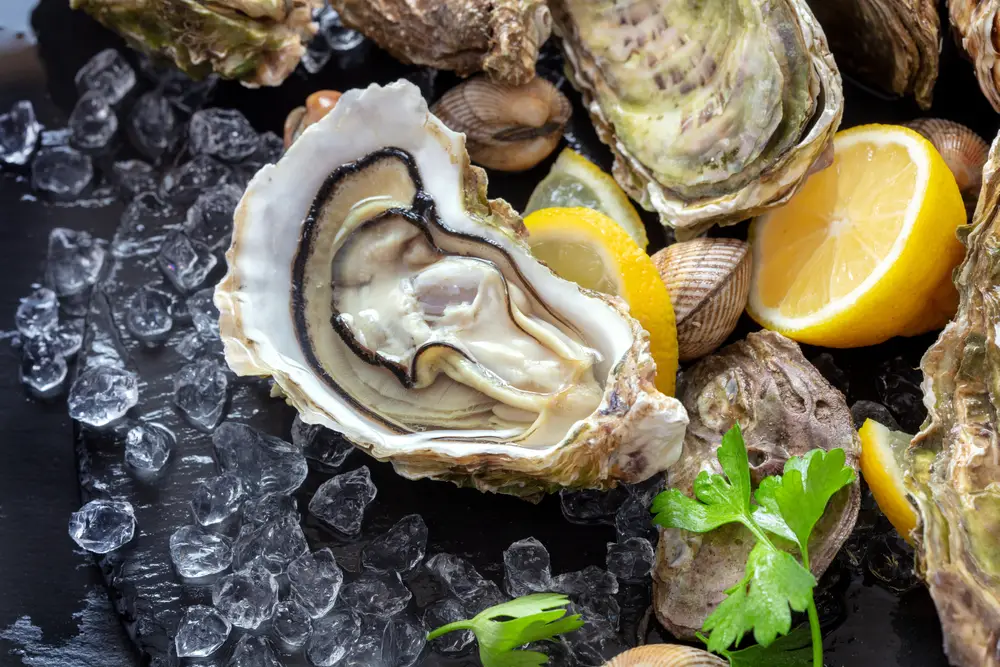 Best Oysters In Orange County