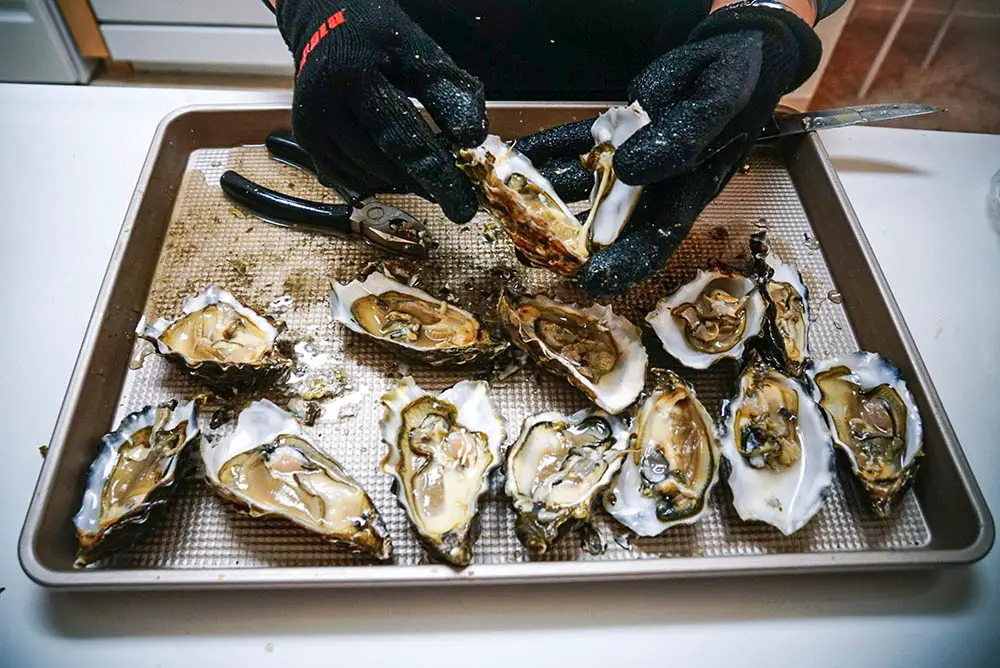 Best Oysters In Virginia Beach