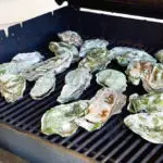 Best Oysters In San Antonio