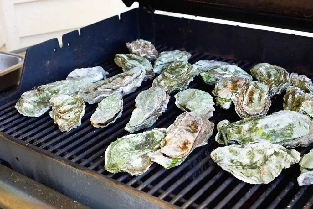 Best Oysters in San Antonio