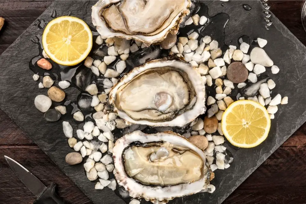 Best Oysters in Houston - Boss Oyster