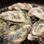 How To Cook Oysters