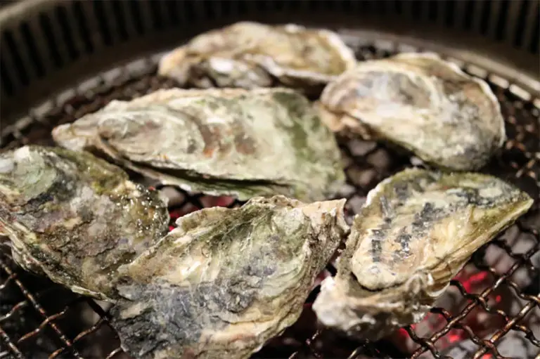 How To Cook Oysters From A Jar Boss Oyster