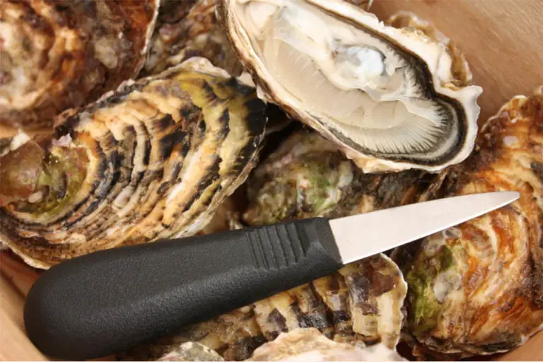 How To Shuck Oysters Boss Oyster