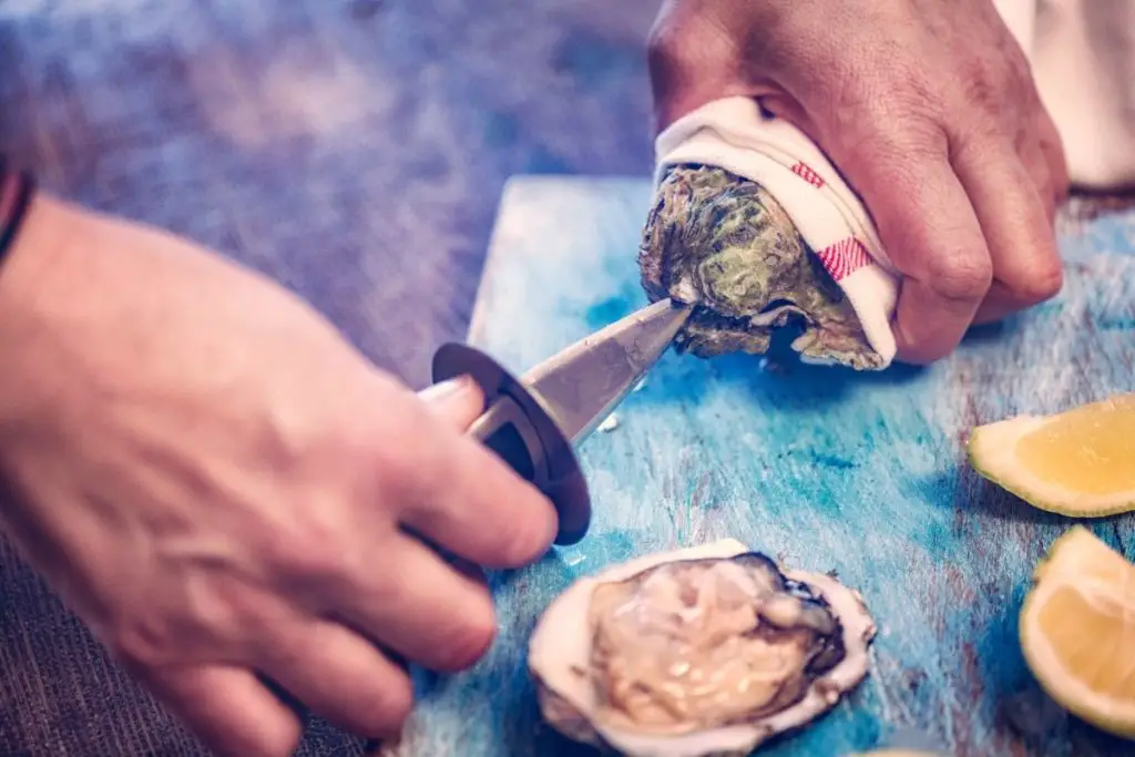 Clam Knife vs Oyster Knife - What’s The Difference?