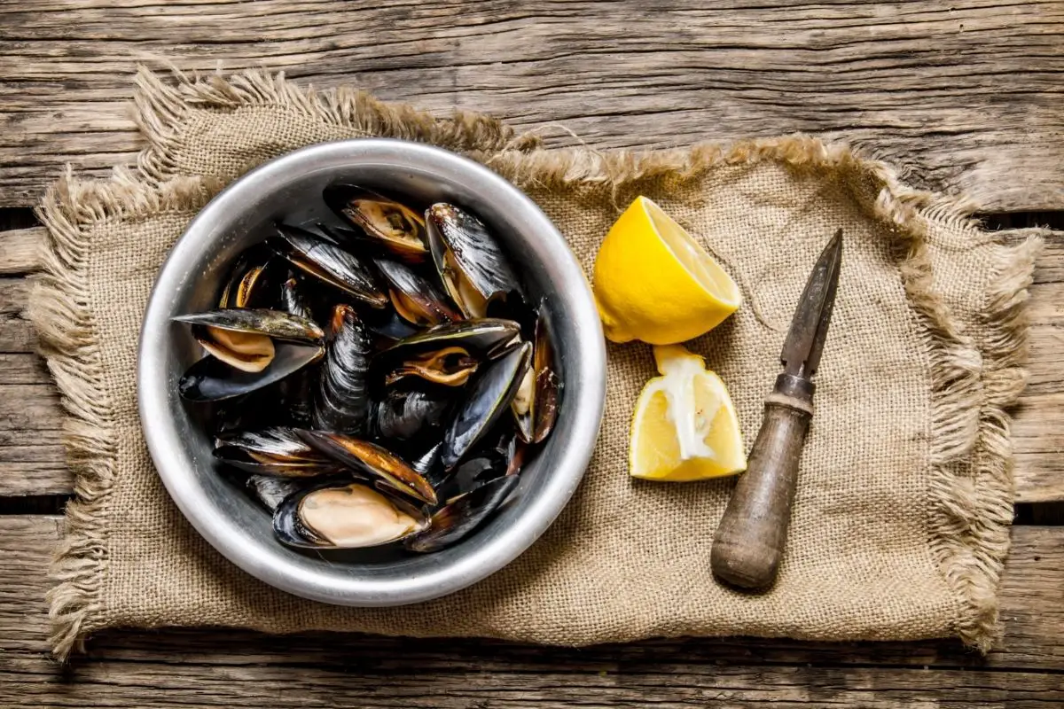 Clam Knife Vs Oyster Knife What’s The Difference? Boss Oyster