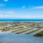 Oyster Farm Travel: Everything You Need To Know
