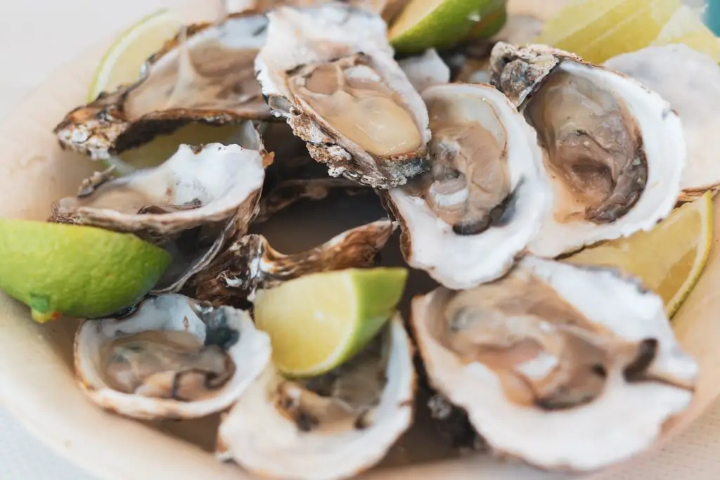 Oyster Farming