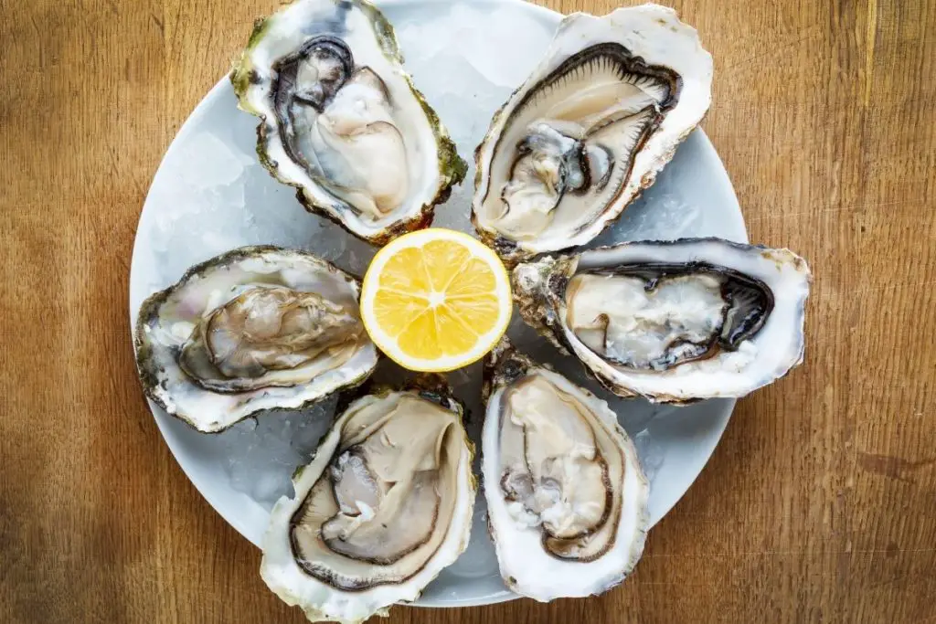 Oyster vs Mussel - What’s The Difference?