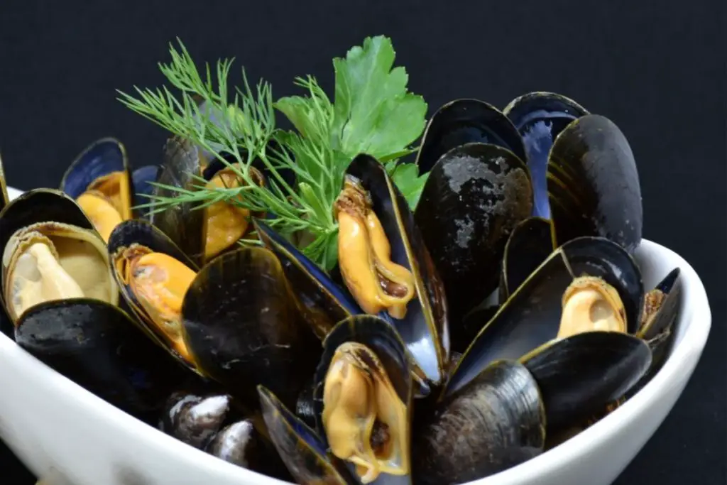 Can You Be Allergic To Mussels And Not Oysters at Jeremy Bailey blog