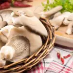 The 10 Best Oyster Mushroom Recipes